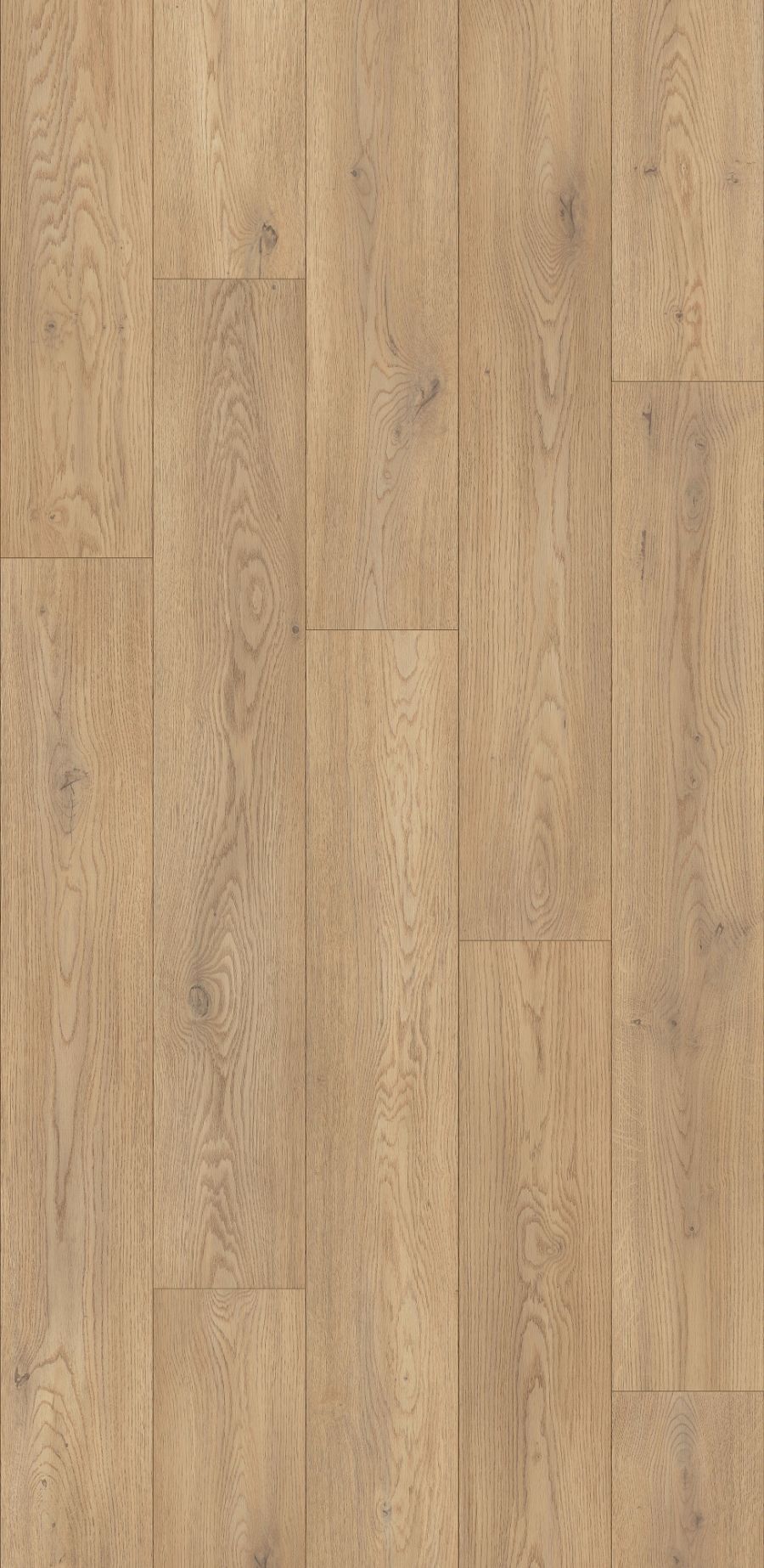 Krono Original MO.RE! "Atlantic 8" - Torro Cremona Oak - Image 2