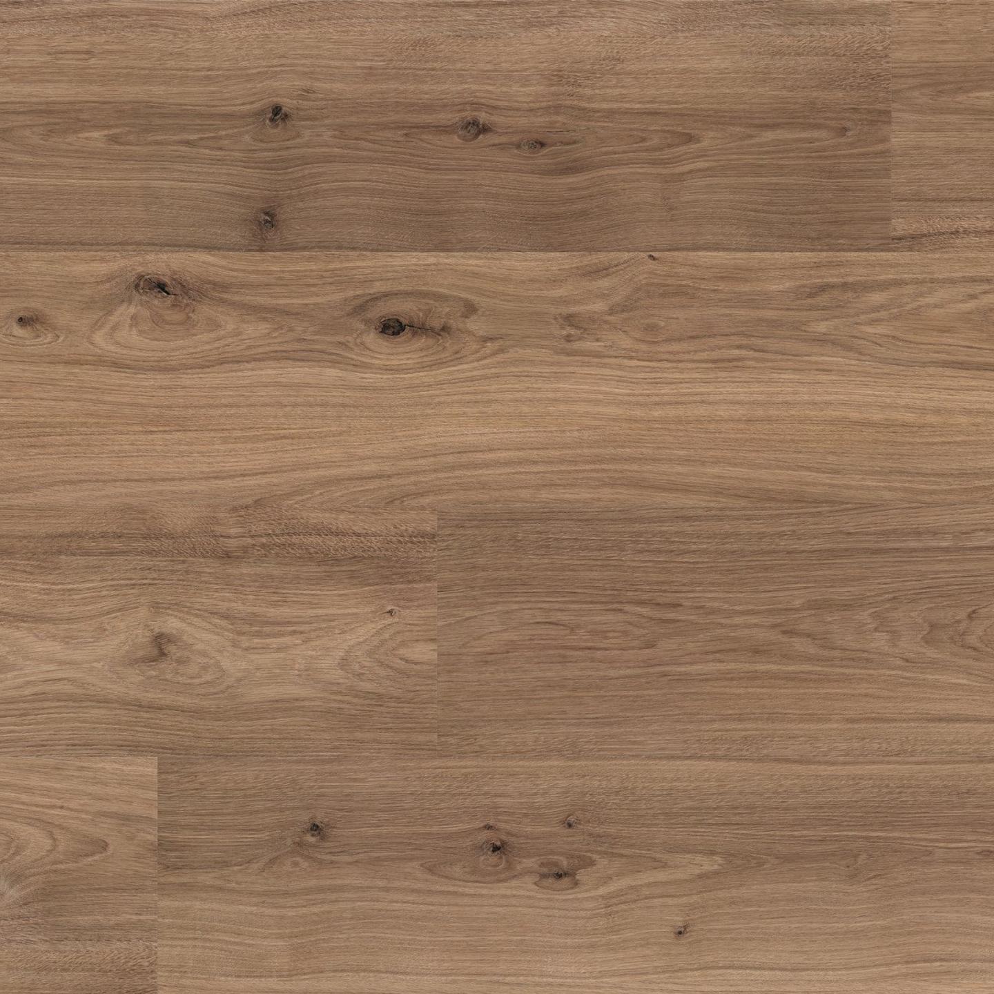 Kaindl Aqua Pro Wood - Oak Baru Novillo - Image 2